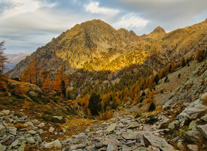 randonnées dans le parc du Mercantour : à la découverte des Alpes-Maritimes