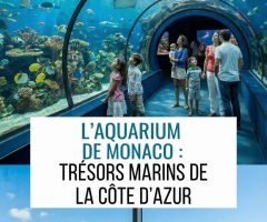 L&rsquo;aquarium de Monaco : découvrez les trésors marins à voir absolument lors de votre séjour sur la Côte d’Azur