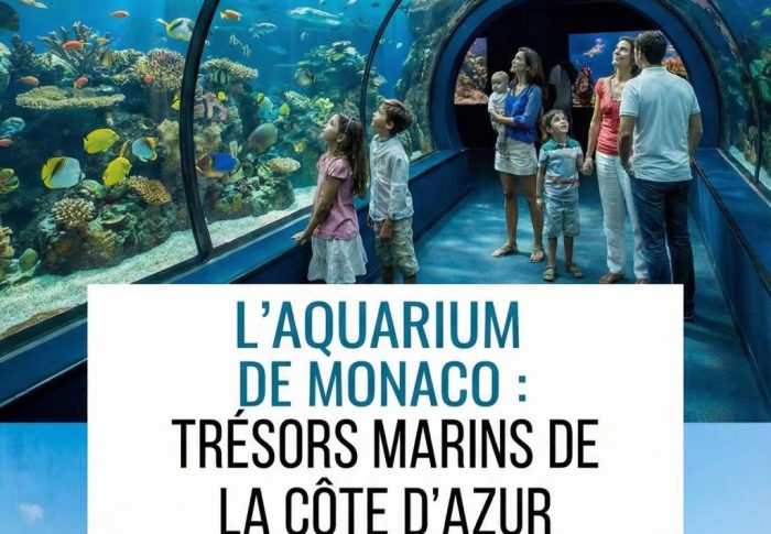 L&rsquo;aquarium de Monaco : découvrez les trésors marins à voir absolument lors de votre séjour sur la Côte d’Azur