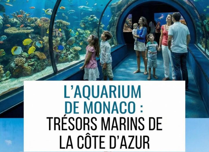 L'aquarium de Monaco : découvrez les trésors marins à voir absolument lors de votre séjour sur la Côte d’Azur