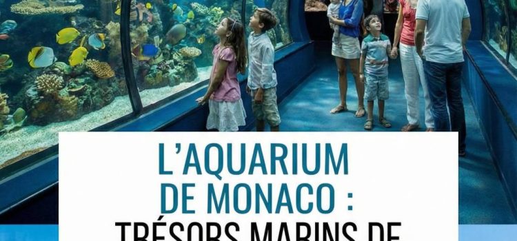 L&rsquo;aquarium de Monaco : découvrez les trésors marins à voir absolument lors de votre séjour sur la Côte d’Azur