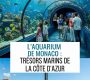L&rsquo;aquarium de Monaco : découvrez les trésors marins à voir absolument lors de votre séjour sur la Côte d’Azur